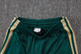 Player Version Italy 26/27 1/4 Zip Training Pro Polo and Pants Set D2603