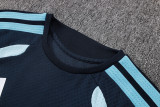 Player Version  Argentina 26/27 Sleeveless Jersey and Pants Set D2603