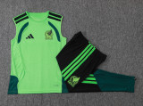 Player Version Mexico 26/27 Sleeveless Jersey and Pants Set D2603