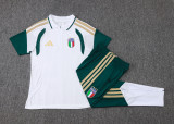 Player Version Italy 26/27 1/4 Zip Training Pro Polo and Pants Set D2603