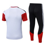 Player Version Germany 26/27 1/4 Zip Training Pro Polo and Pants Set D2603