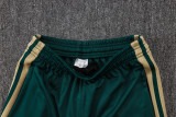 Player Version Italy 26/27 1/4 Zip Training Pro Polo and Pants Set D2603