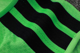 Player Version Mexico 26/27 Sleeveless Jersey and Pants Set D2603