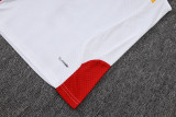 Player Version Germany 26/27 Sleeveless Jersey and Pants Set D2603