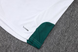 Player Version Italy 26/27 Training Shirt and Pants Set D2603