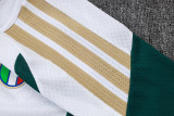 Player Version Italy 26/27 Training Shirt and Pants Set D2603
