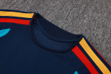 Player Version Spain 26/27 Training Shirt and Pants Set D2603