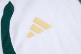 Player Version Italy 26/27 Training Shirt and Pants Set D2603