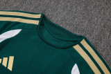 Player Version Italy 26/27 Training Shirt and Pants Set D2603