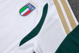Player Version Italy 26/27 Training Shirt and Pants Set D2603