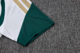 Player Version Italy 26/27 Training Shirt and Pants Set D2603