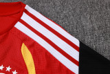 Player Version Germany 26/27 Training Shirt and Pants Set D2603