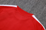 Player Version Germany 26/27 Training Shirt and Pants Set D2603