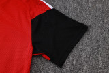 Player Version Germany 26/27 Training Shirt and Pants Set D2603