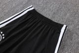 Player Version Germany 26/27 Training Shirt and Pants Set D2603
