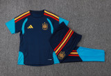 Player Version Spain 26/27 Training Shirt and Pants Set D2603