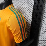 Thai Version Ivory Coast 2026 Terrace Icons Jersey