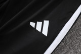 Player Version Germany 26/27 Training Shirt and Pants Set D2603