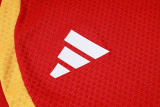 Player Version Germany 26/27 Training Shirt and Pants Set D2603