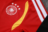 Player Version Germany 26/27 Training Shirt and Pants Set D2603