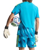 Spain 2026 Goalkeeper Jersey and Short Kit
