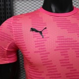Player Version Portugal 2026 Special Authentic Jersey