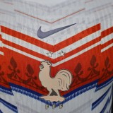Player Version France 2026 Special Authentic Jersey
