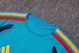 Player Version Spain 2026 Training Pro Kit D2603