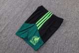 Kids Player Version Mexico 2026 Training Pro Kit D2603