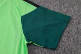 Kids Player Version Mexico 2026 Training Pro Kit D2603