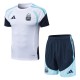Kids Player Version Argentina 2026 Training Pro Kit D2603