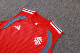 SC Internacional 26/27 Sleeveless Jersey and Shorts Set D26015