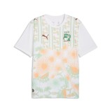 Thai Version Ivory Coast 2026 Away Jersey