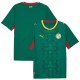 Thai Version Senegal 2026 Away Jersey