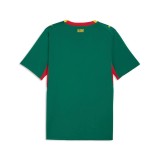 Thai Version Senegal 2026 Away Jersey