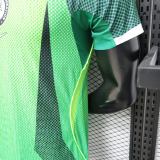 Player Version Nigeria 2026 Home Authentic Jersey