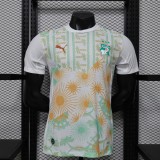 Player Version Ivory Coast 2026 Away Authentic Jersey
