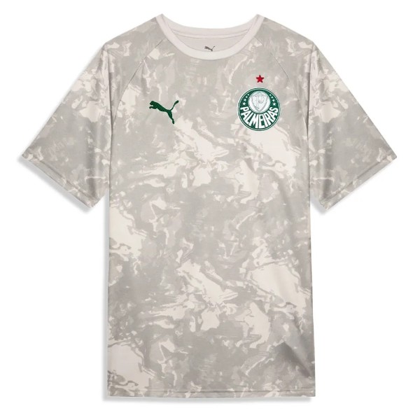 Thai Version Palmeiras 26/27 Pre Match Jersey