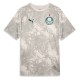 Thai Version Palmeiras 26/27 Pre Match Jersey