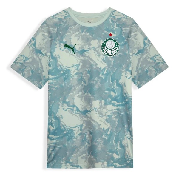 Thai Version Palmeiras 26/27 Pre Match Jersey