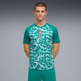Thai Version Portugal 2026 Pre Match Jersey