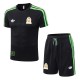 Mexico 2026 OG Lifestyler Shirt and Short Kit D2604