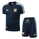 Argentina 2026 OG Lifestyler Shirt and Short Kit D2604