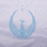 Thai Version Uzbekistan 2026 Home Jersey