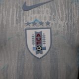 Player Version Uruguay 2026 Special Authentic Jersey