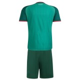Player Version Kids Algeria 2026 Away Authentic Kit