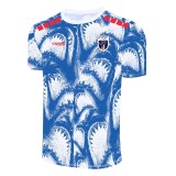 Thai Version Cape Verde 2026 Pre Match Jersey
