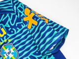 Brazil 2024 Training Retro Jersey