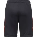 Thai Version Netherlands 2026 Home Shorts