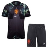Netherlands 2026 Goalkeeper Jersey and Short Kit